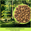 100% Nature Pine Nuts Wild Pine Nuts Organic Pine Nuts Kernels With Shells